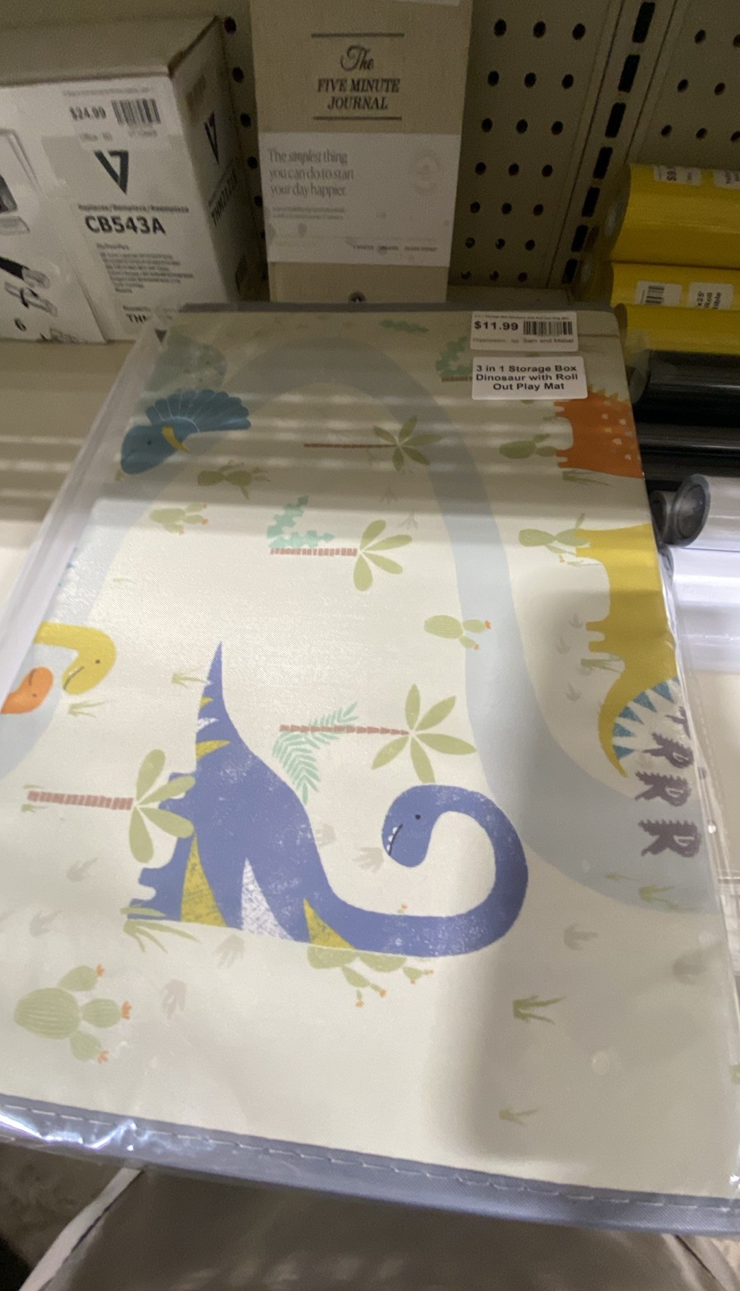 Item from this Amazon mystery box