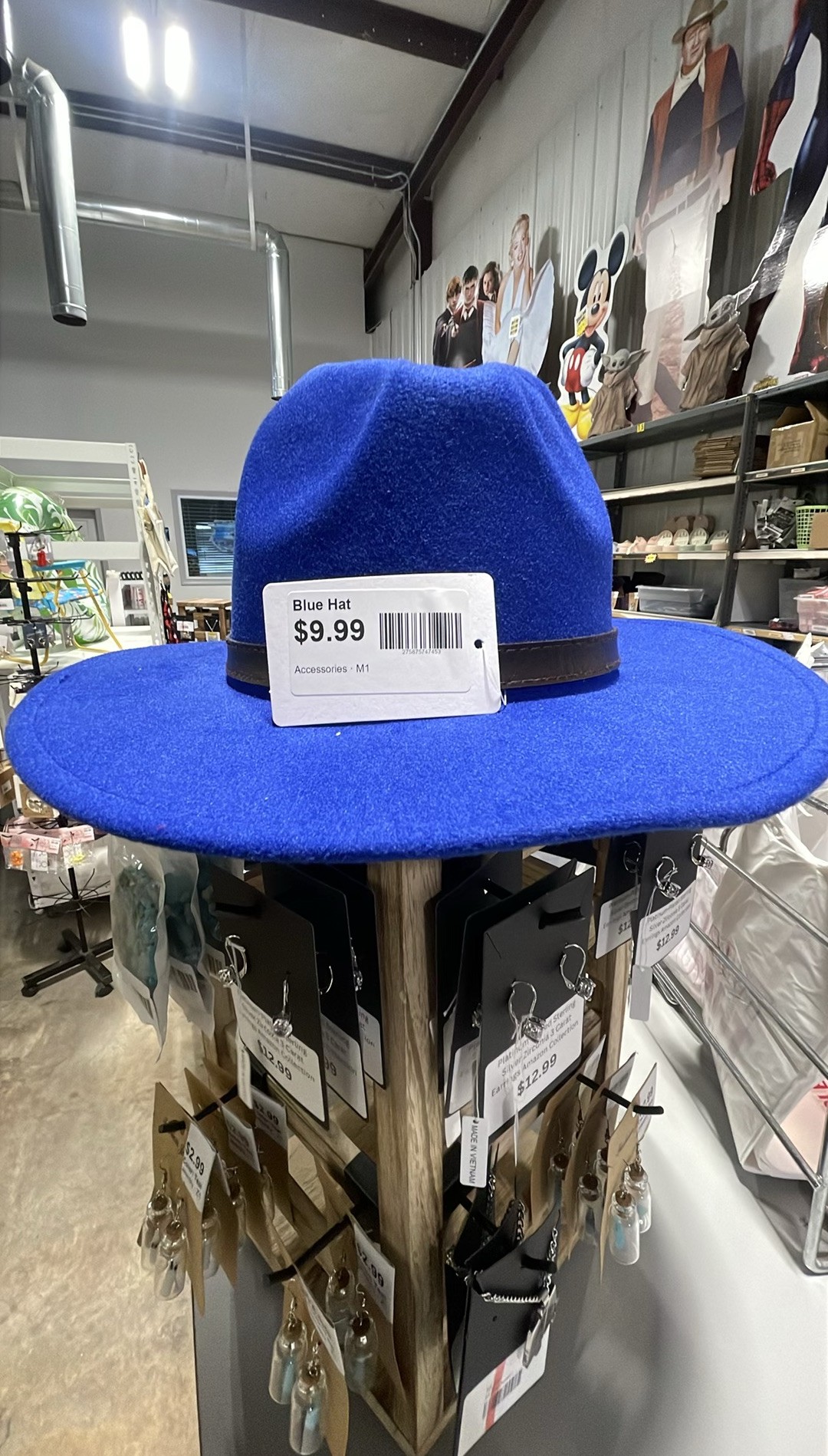Blue Hat