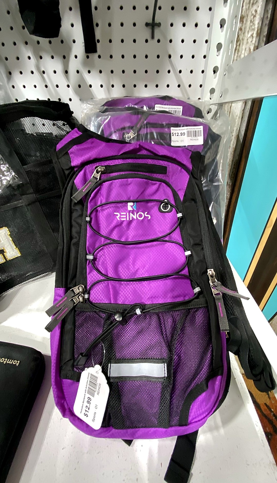 REINOS Hydration Backpack with Activities (Violet)