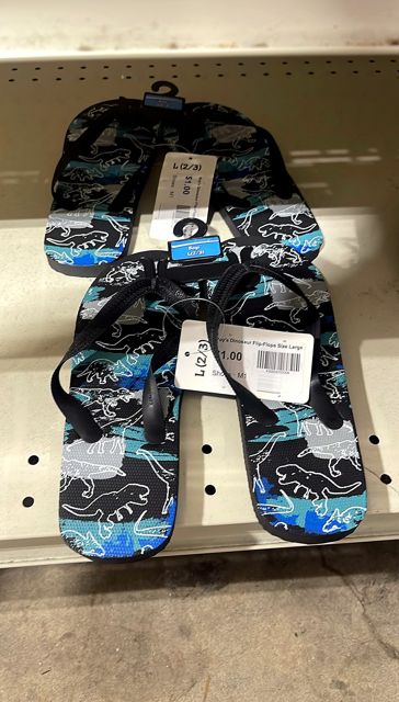 Boy's Dinosaur Flip-Flops Size Large
