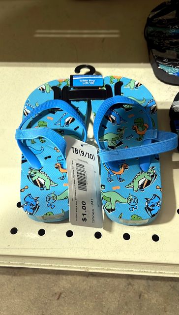 Toddler Boy's Blue Dinosaurs on a Beach Flipflops Size Large