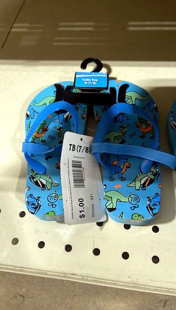 Toddler Boy's Blue Dinosaurs on a Beach Flipflops Size Medium