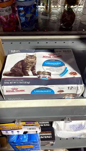 Royal Canin Feline Care Nutrition Urinary Care Thin Slices in Gravy Adult Wet Cat Food, 3 oz., Count of 12