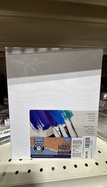 ArtSkills 8  x 10  Canvas Panels for Painting  2-Pack