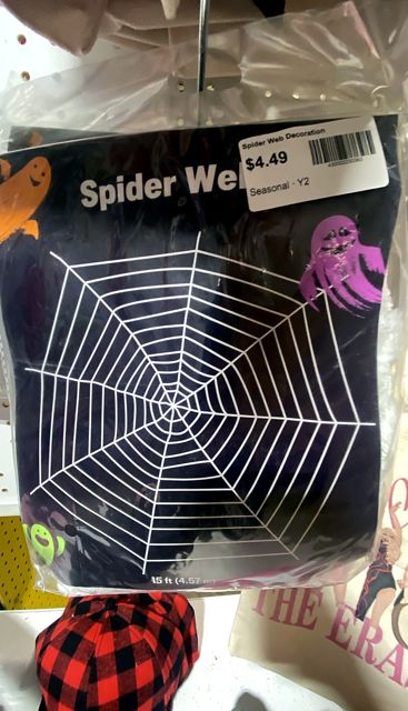 Spider Web Decoration