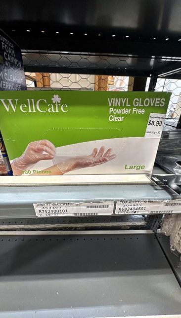 Wellcare Vinyl Gloves 100 Count Vinyl And Powder Free Large 100ct