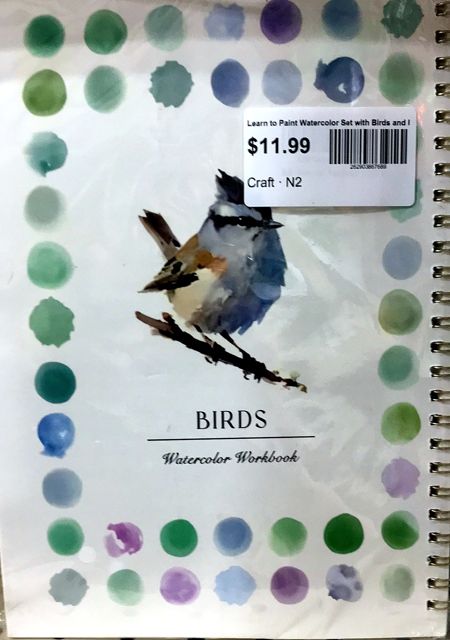 Learn to Paint Watercolor Set with Birds and Painting Instructions